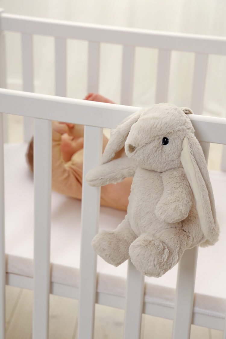 Cloud-B Multisensory - Lovelight - Billy Bunny