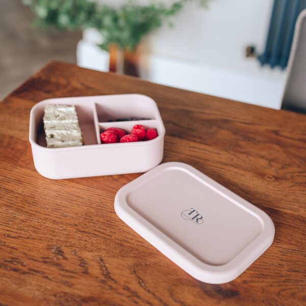 Theodore and Raffy - 3 Way Divide Bento Lunch Box