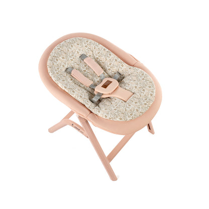 Jane Noah Highchair + Rocker Kit for Newborns – Convertible Beechwood Chair from birth to Adulthood, Pale