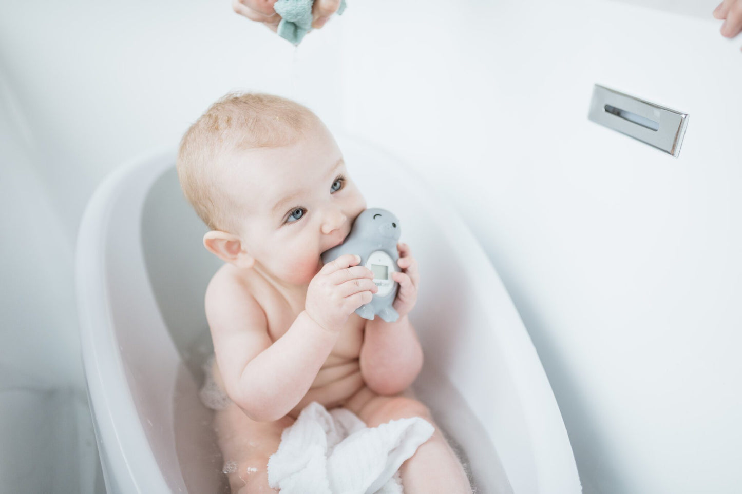 Angelcare - Bath And Room Thermometer - Seal