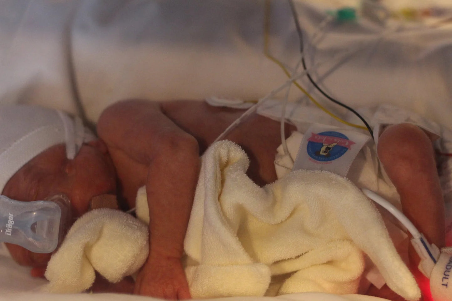 Cuski - Premature Baby Bonding Comforter Miniboo 2 pack Pink