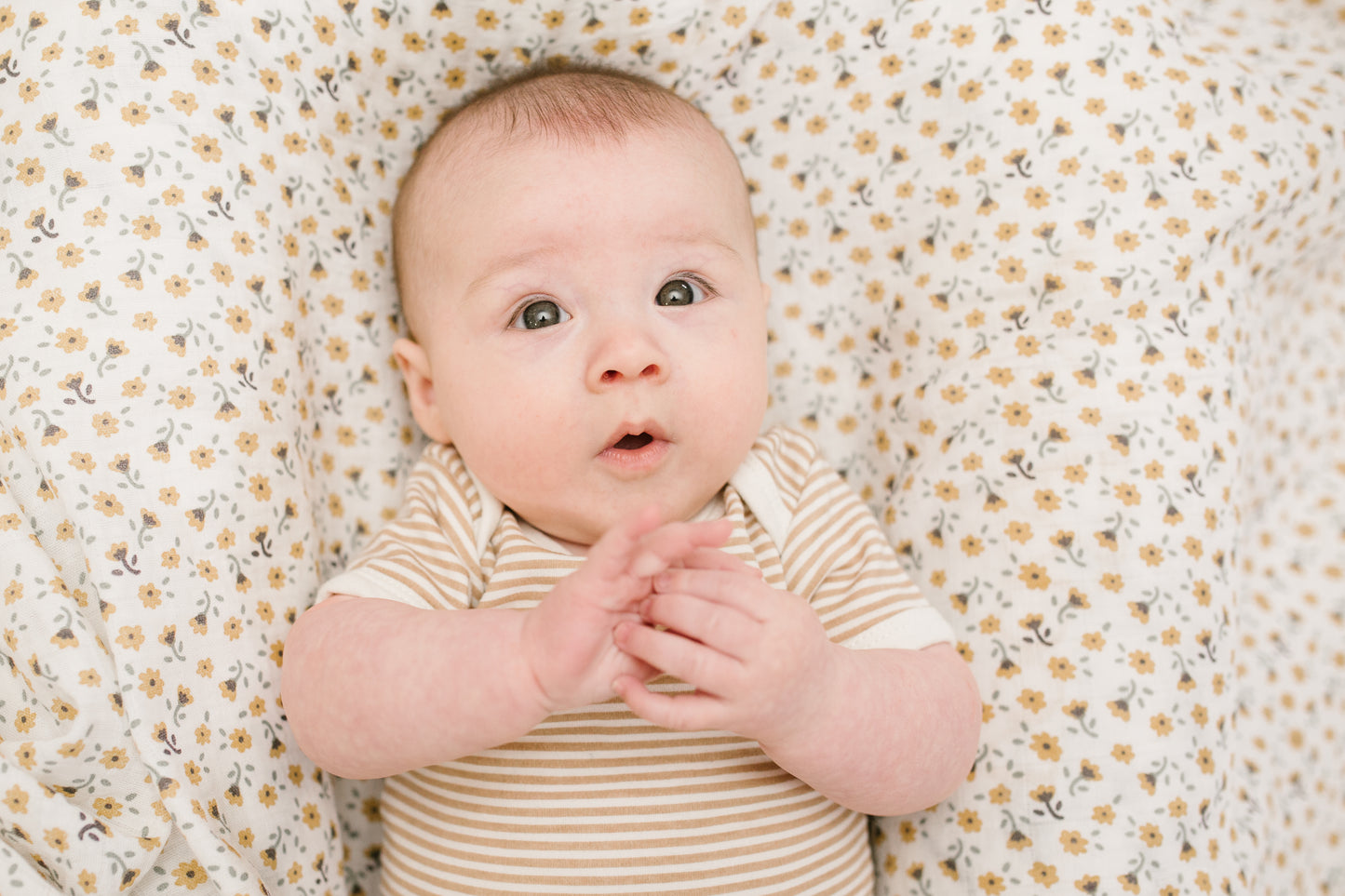 Lulujo - 2 Pack Cotton Swaddles - Vintage Floral / Dragonflies (100cm x100cm)