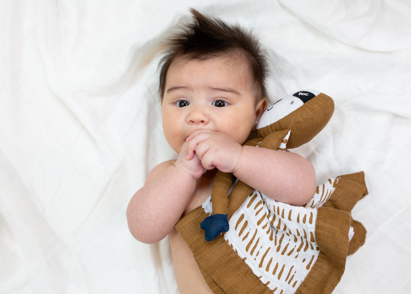Lulujo - Cotton Muslin Lovie - Sloth