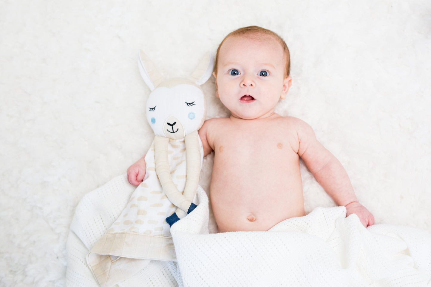 Lulujo - Cotton Muslin Lovie - Llama