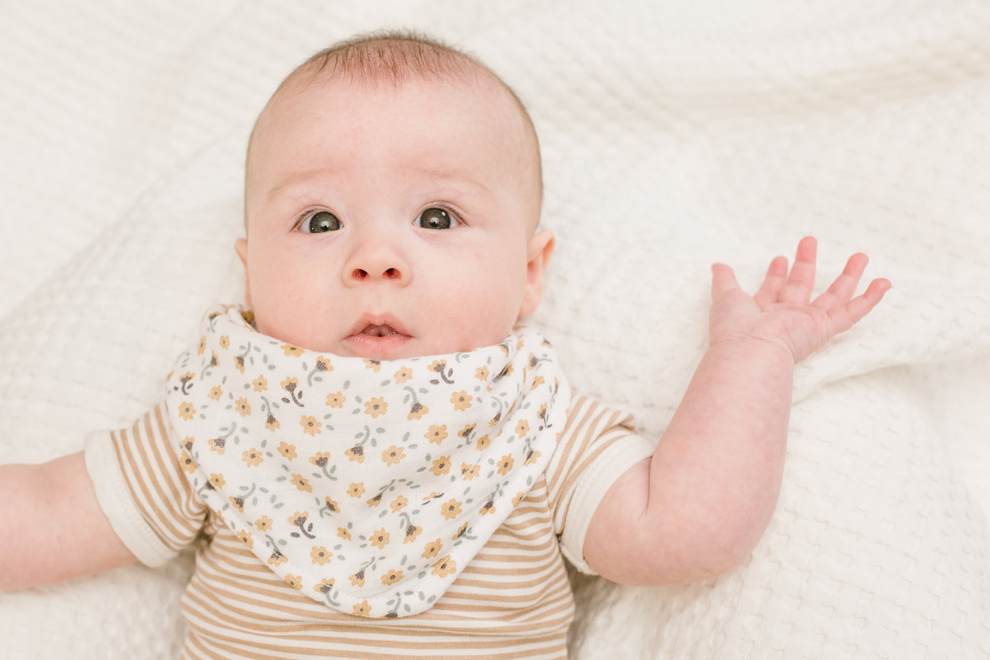 Lulujo - 2 pack Bandana Bib - Vintage Floral & Dragonflies