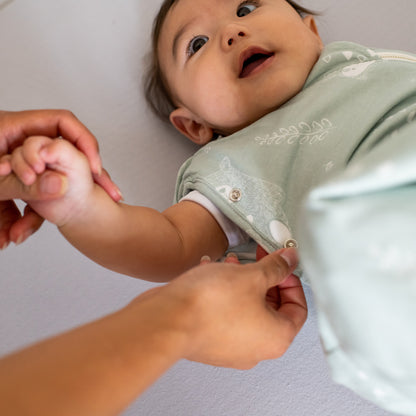 Tommee Tippee - Organic All Year Grobag Cocoon Swaddle Sleeping Bag - Woodlands 1.0 TOG