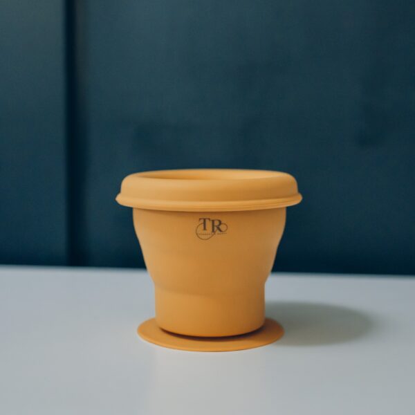 Theodore and Raffy - Collapsible Suction Snack pot